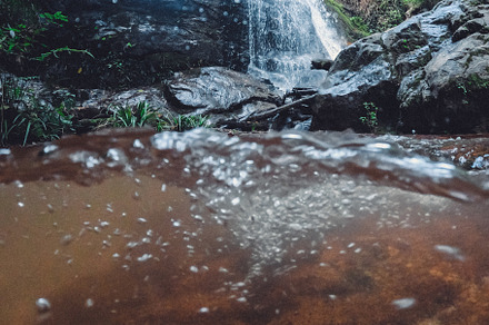 Waterfall In The Forest, a Nature Photo by Art Rachen