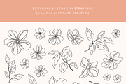 Floral Vector Illustrations, a Decorative Illustration by Emma Webb Studio (Thumbnail 3 of 5)
