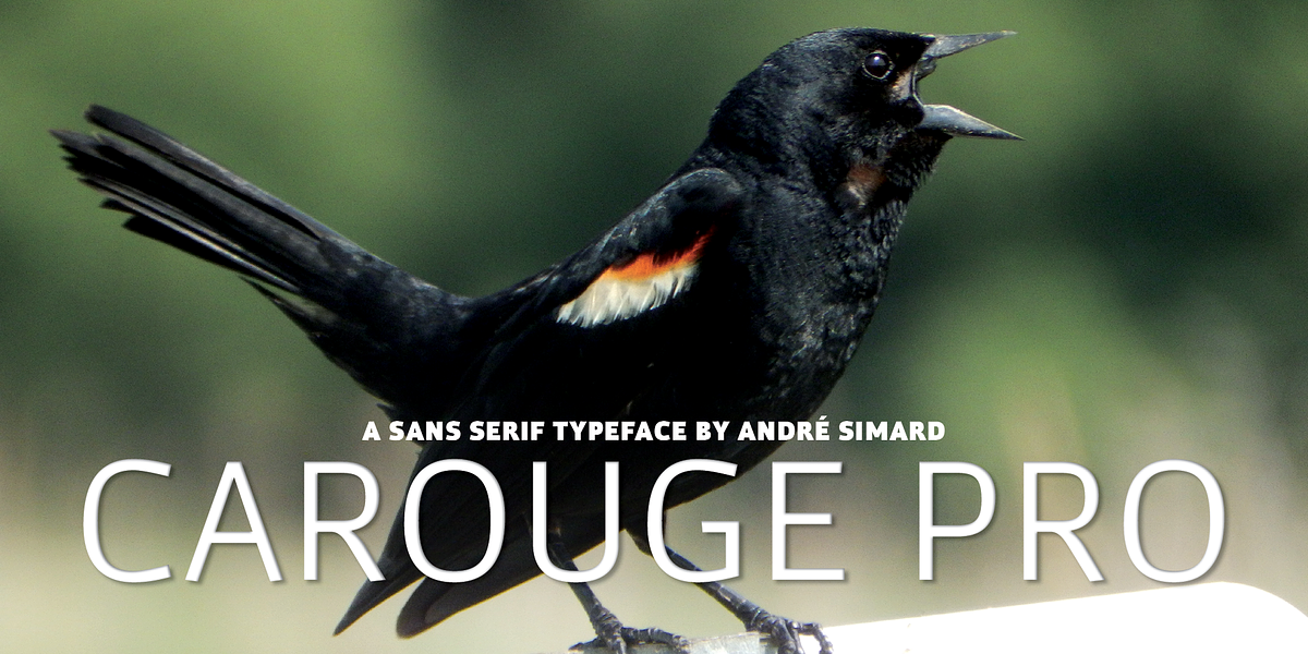Carouge Pro, a Sans Serif Font by André Simard (Photo 1 of 8)