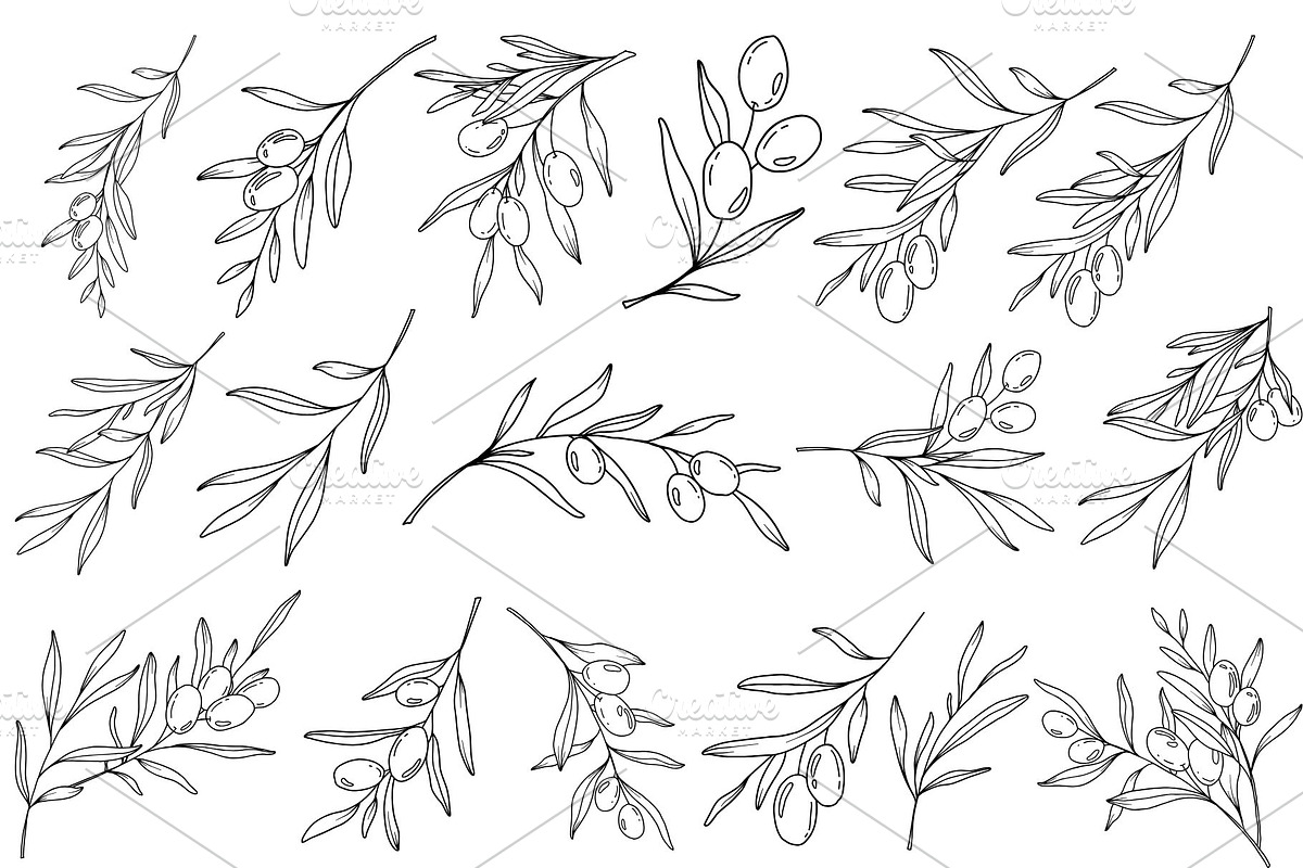 Olive Branch Line Art Clipart SVGs, a Decorative Illustration by Stellalunarts (Photo 2 of 12)