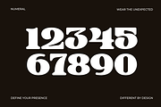 Miske – Modern Bold Serif, a Serif Font by MaikoHatta (Thumbnail 8 of 8)