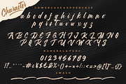 Hotlight Handlettering Business Font, a Script Font by MikroType Std (Thumbnail 10 of 12)