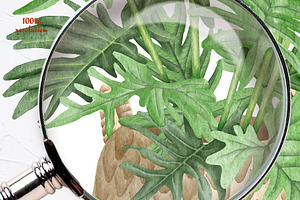 Philodendron Plans Watercolor Set