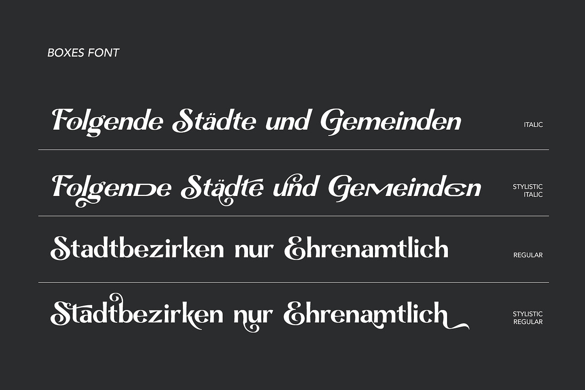Boxes, a Serif Font by Naksatra (Photo 10 of 14)