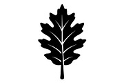 Maple Leaf Acorn Autumn, an Object Graphic by Gfx_Store (Thumbnail 6 of 18)