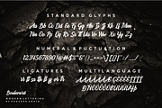 Boulevard - Modern Lettering, a Script Font by Anatadesign (Thumbnail 9 of 10)