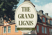 Lignis, a Serif Font by Zafiratype (Thumbnail 6 of 15)