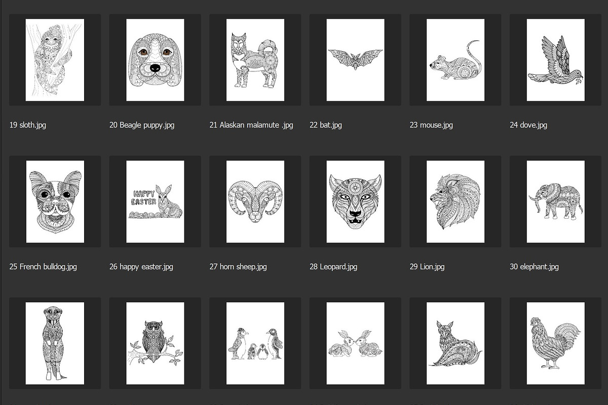 150 animals for adult coloring book, an Animal Illustration by Somjai King (Photo 3 of 10)