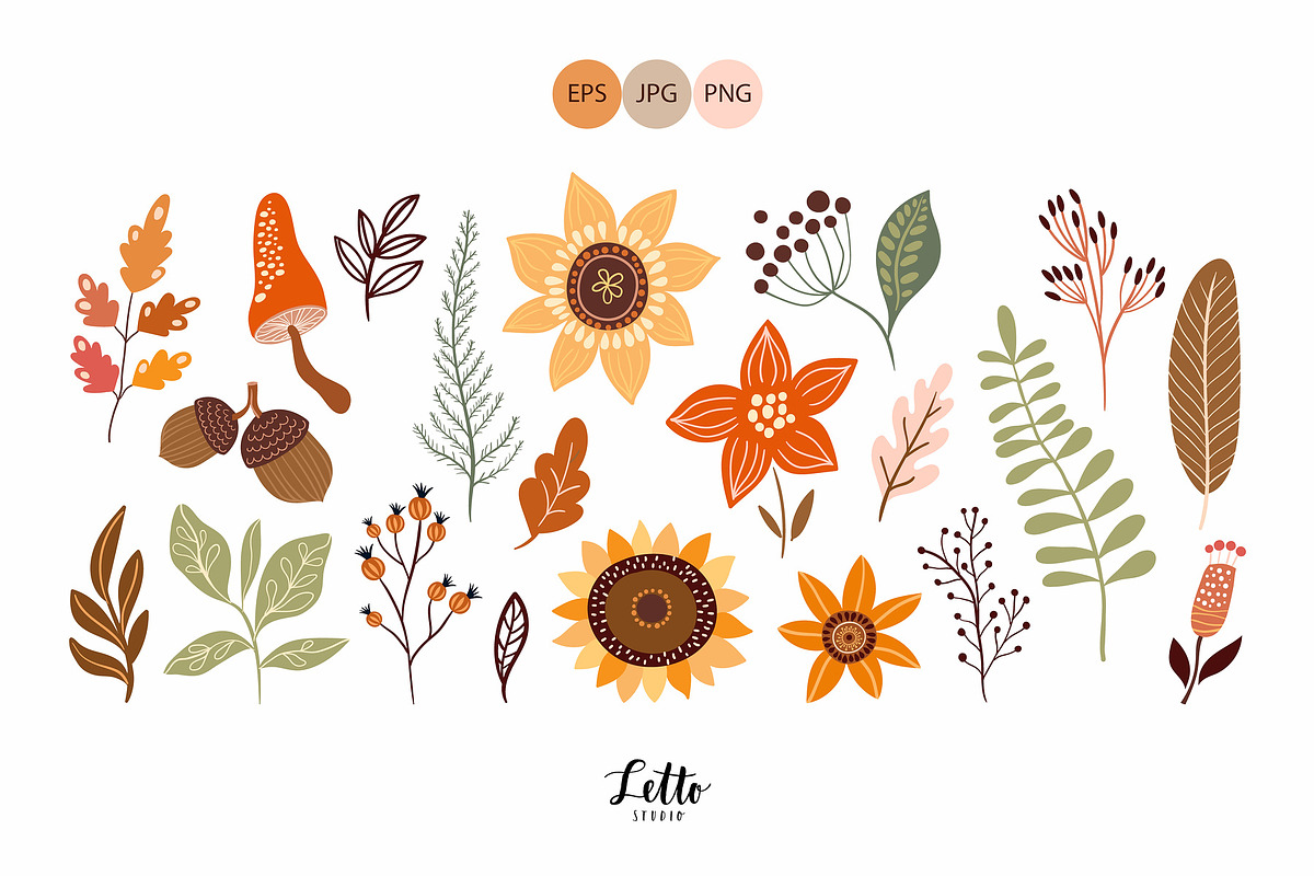 Autumn botanicals collection, a Decorative Illustration by Letto studio (Photo 3 of 7)
