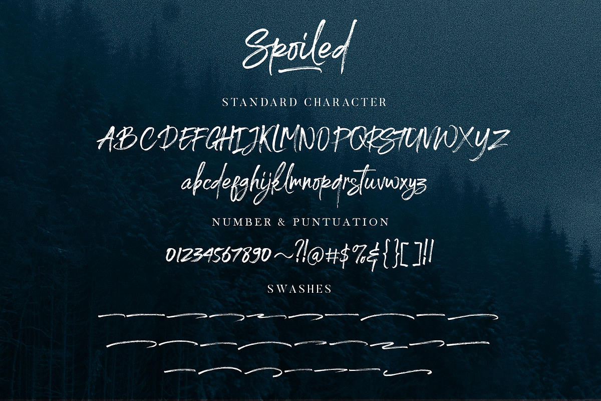Spoiled Brush Font, a Script Font by trustha (Photo 11 of 11)