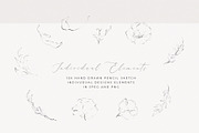 Botanical Illustration Wreath, an Illustration by WalaPalette (Thumbnail 8 of 9)