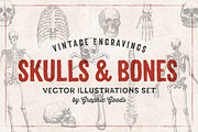 11 Skulls & Bones Illustration Set, an Illustration by Graphic Goods (Thumbnail 1 of 4)