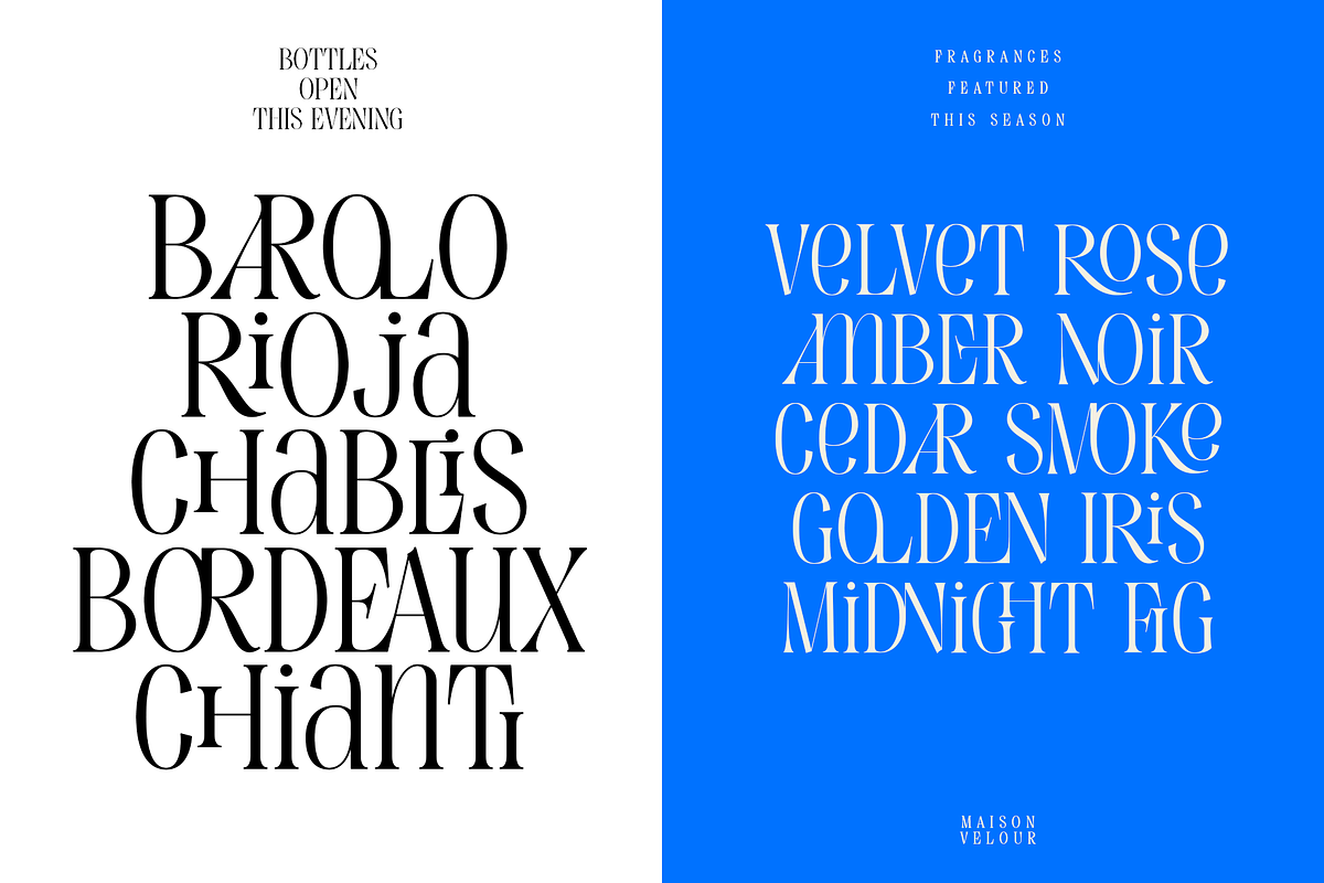 Evertype - Display Serif Font Family, a Serif Font by VP Fonts (Photo 7 of 32)