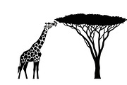 Giraffe Safari Silhouette Vector Bun, an Illustration by Designer_Momina (Thumbnail 34 of 51)