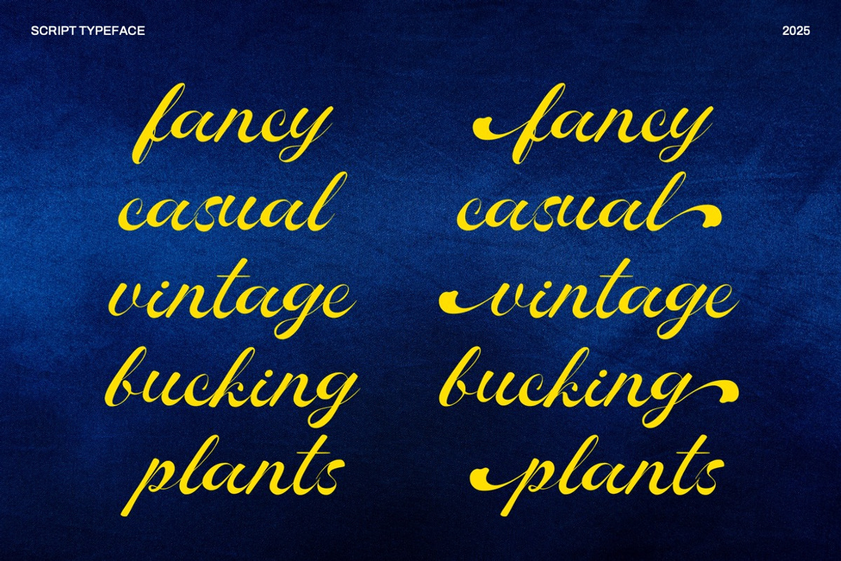 Rocha Swaty - Retro Script Font, a Script Font by Dhabee (Photo 5 of 15)