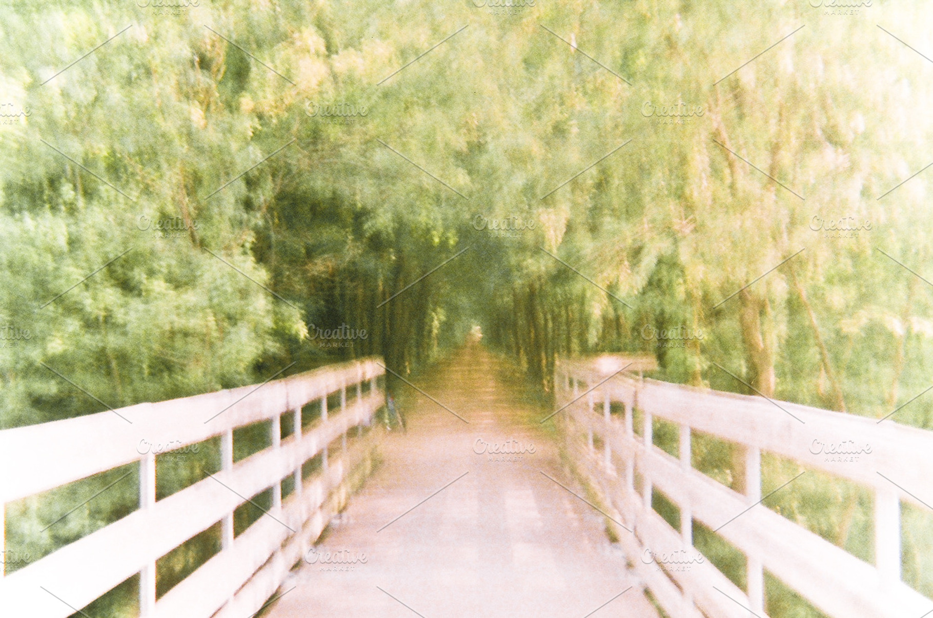 Vision Walkway