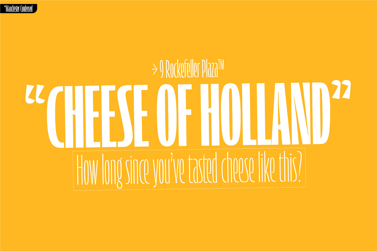 Manchester Condensed Variable, a Sans Serif Font by Vastago Studio (Photo 11 of 17)