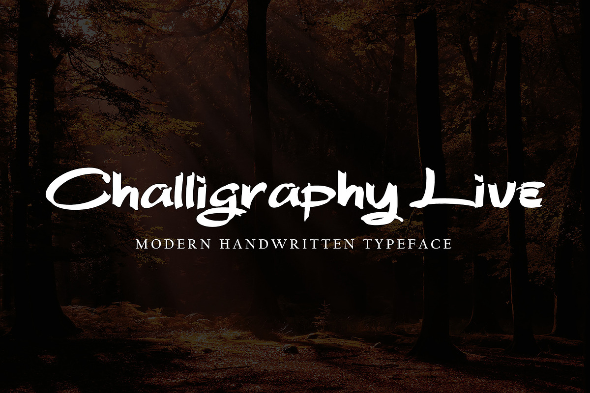 Bheni Euthentic, a Script Font by pineungtype (Photo 2 of 7)