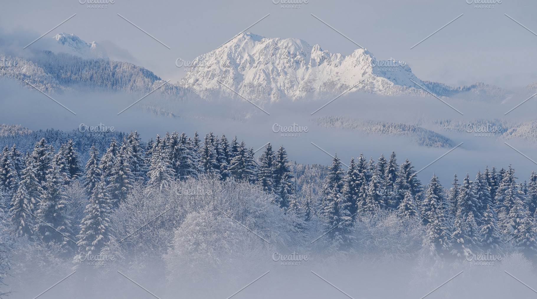 Winter morning in the forest and mountains, a Nature Photo by Dreamy Pixel