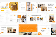 Pet Shop Presentation Keynote, a Presentation Template by Antstheme (Thumbnail 4 of 4)