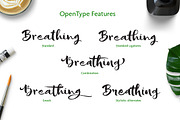 Sofie Script, a Script Font by JROH Creative (Thumbnail 8 of 9)