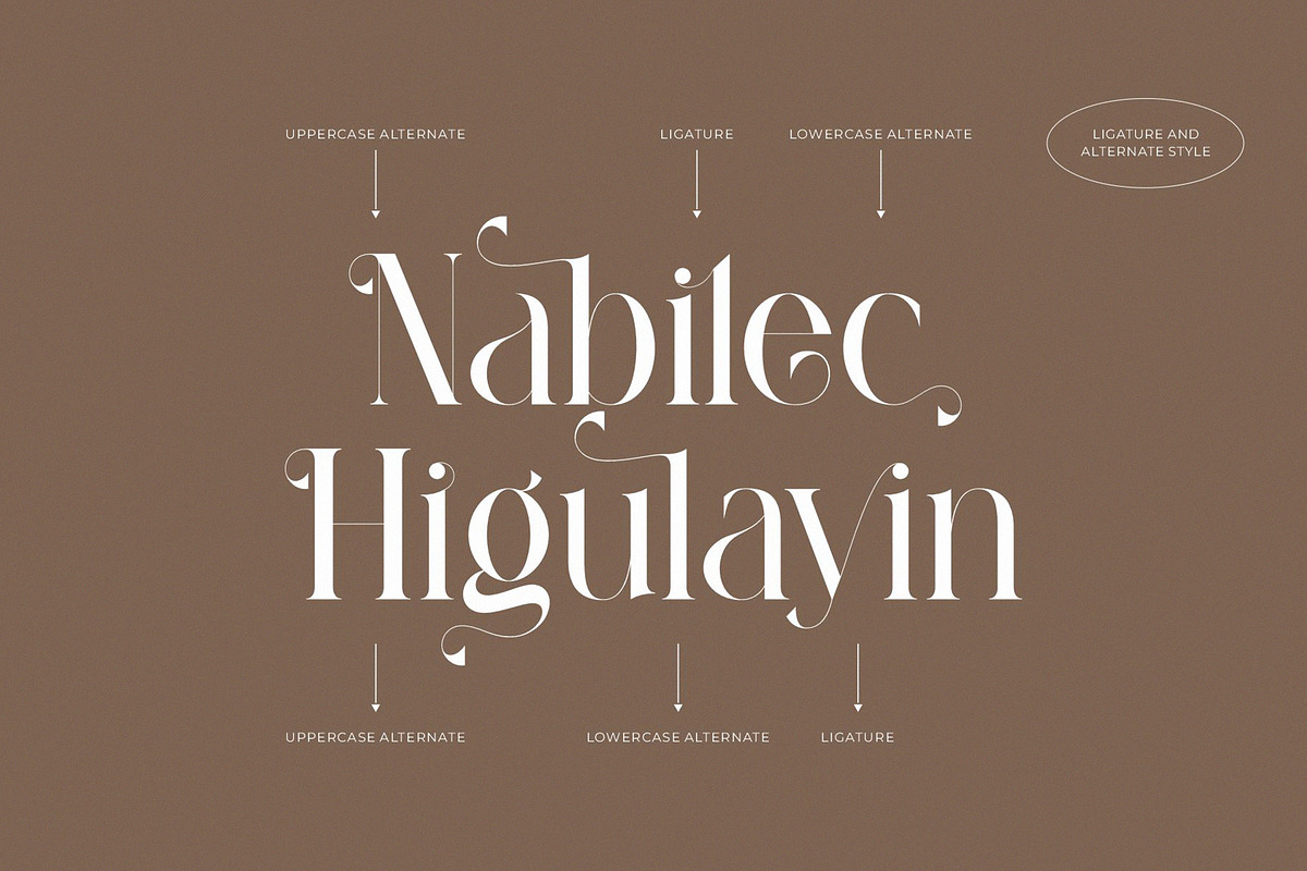 Fragile Modern Ligature Serif preview 6
