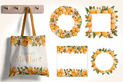 Loquat watercolor clip art, an Illustration by Alena Sid (Thumbnail 10 of 15)