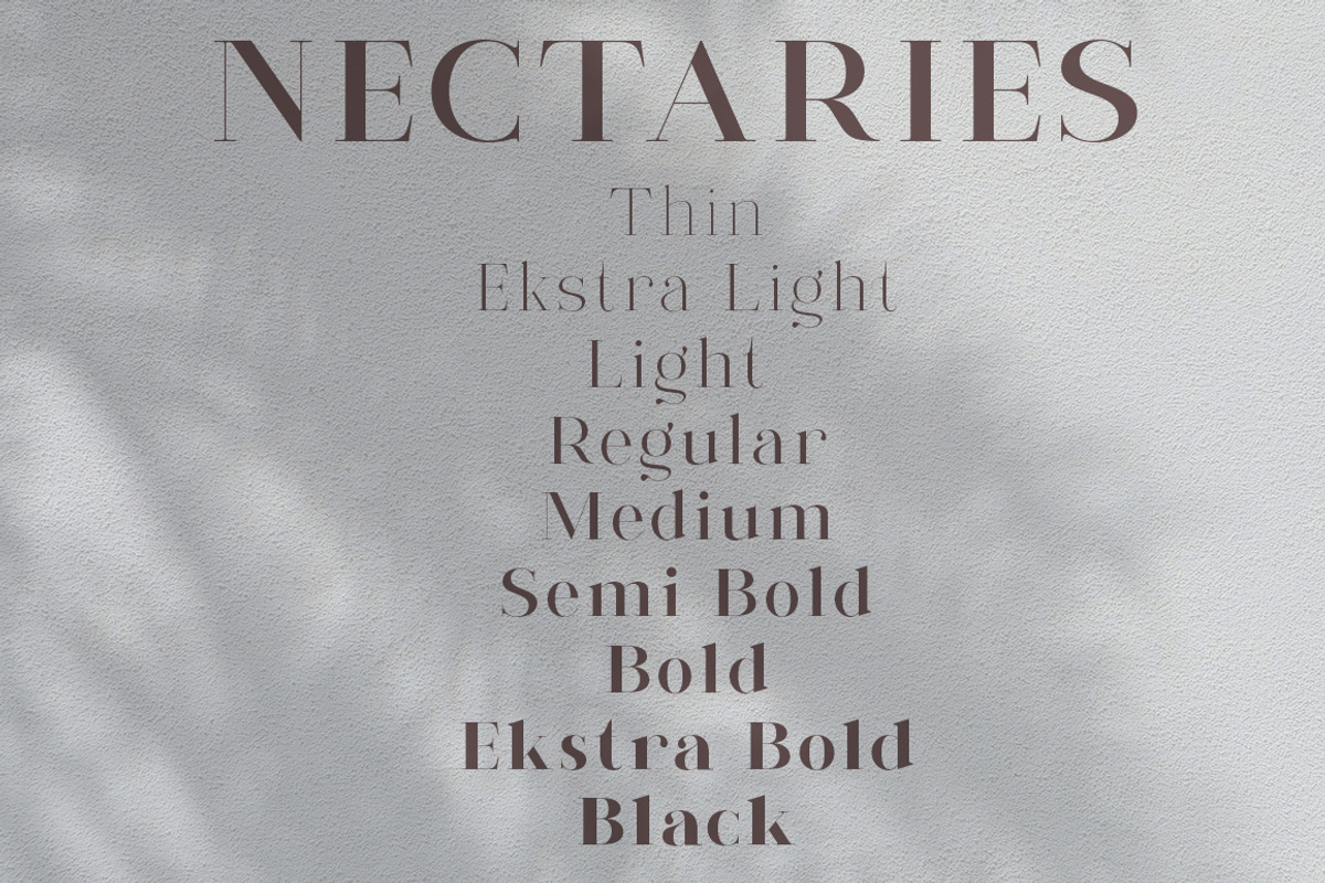 Nectaries, a Serif Font by Funtype (Photo 11 of 16)