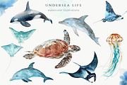 Undersea Life Watercolor, an Animal Illustration by Kolorata Art (Thumbnail 5 of 14)