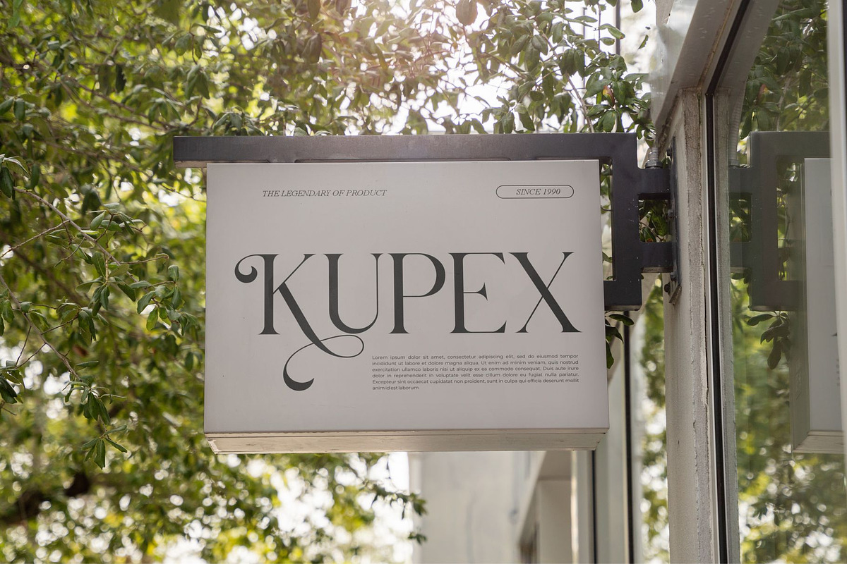 Alfines || Modern Classy Serif Font, a Serif Font by Ermedia Studio (Photo 4 of 10)