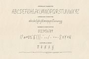 Buttercup Stories - Ballpoint Fonts, a Handwritten Font by Bluestype Studio (Thumbnail 8 of 8)