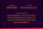 Racula - Gothic Serif Font, a Serif Font by Typefactoryco (Thumbnail 3 of 8)
