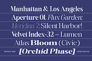 Rafiela, a Serif Font by Romiecreative (Thumbnail 5 of 12)