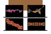 Photo Bundle of Abstract Paintings, a Wallpaper Photo by Susan Wilkinson (Thumbnail 6 of 14)