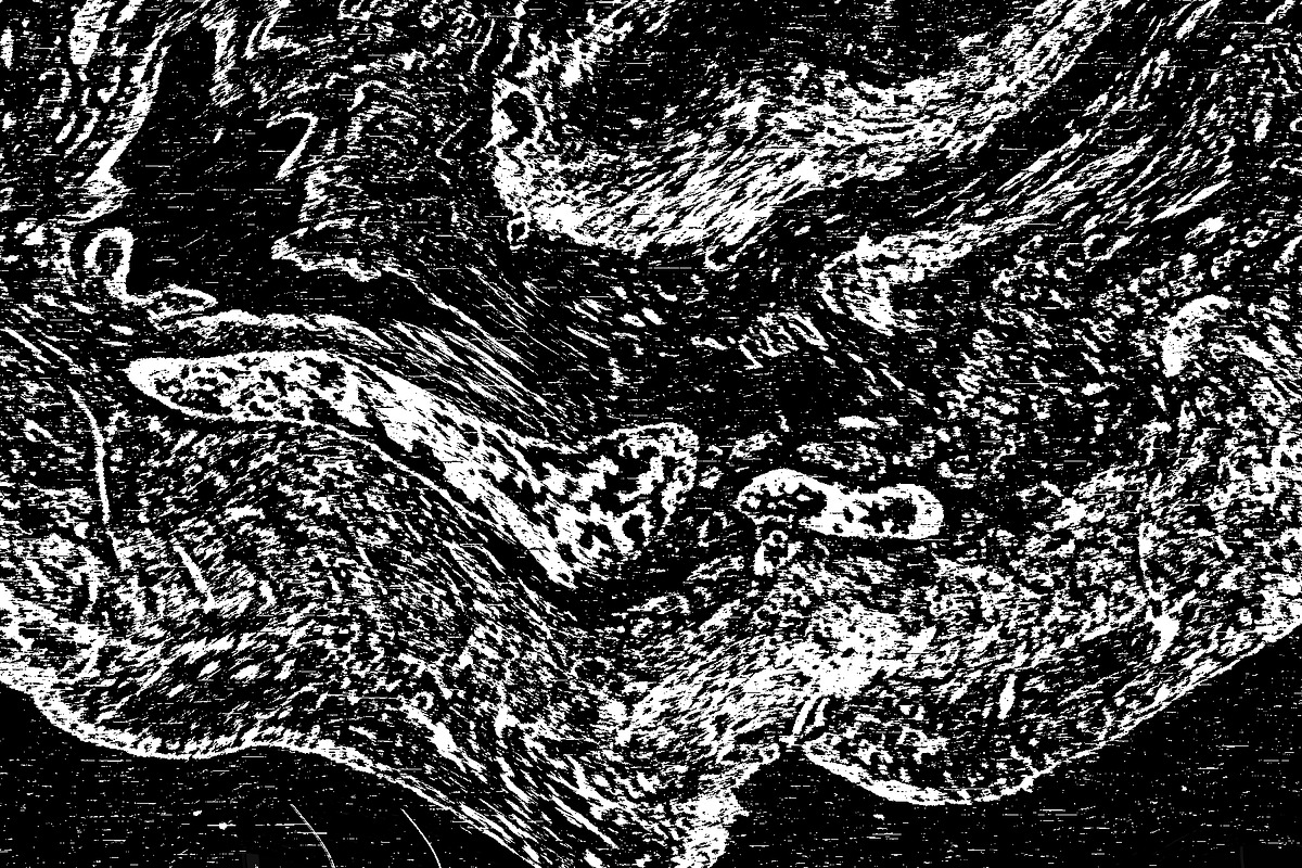 Lilliputian, a Texture Graphic by Jennifer Lauren Creative (Photo 14 of 28)