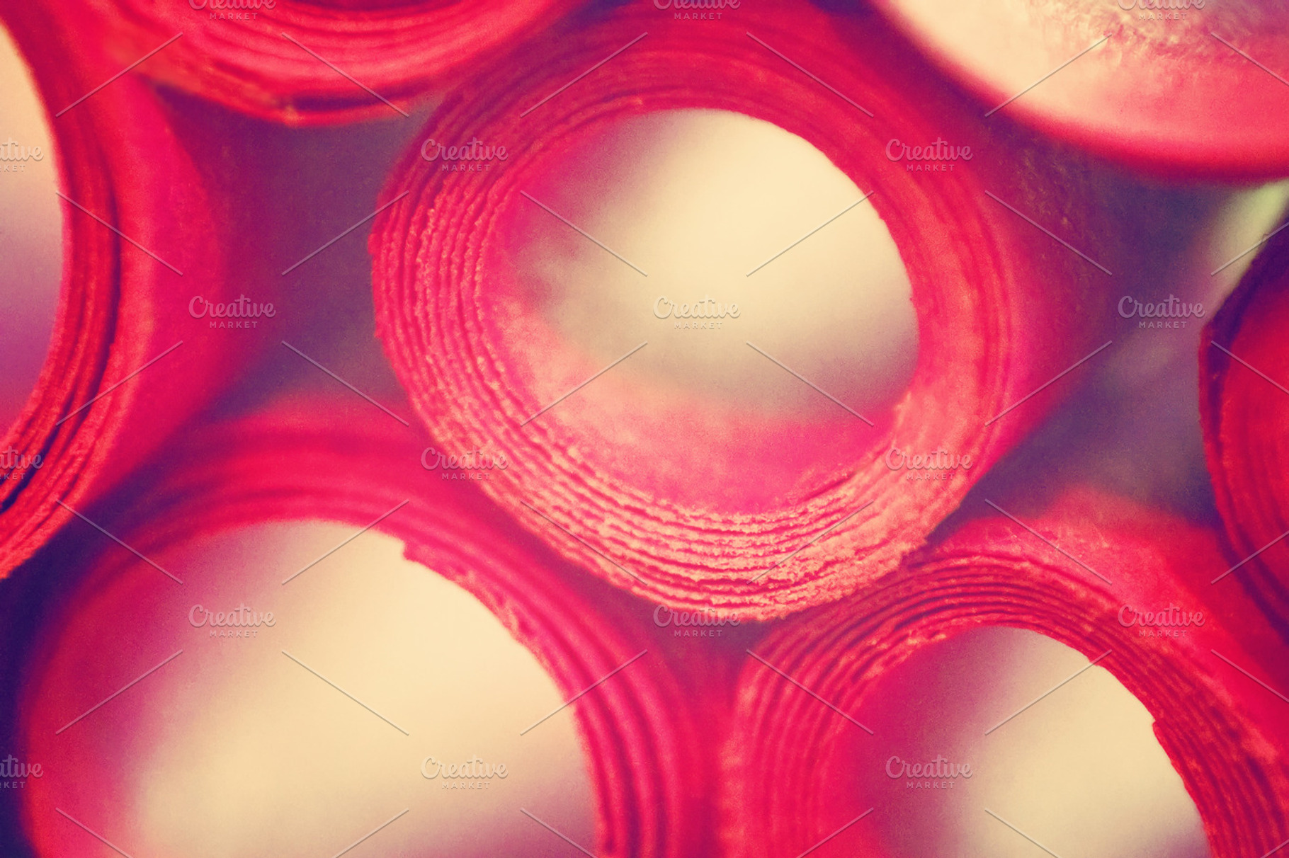 Paper Tubes Abstract, a Photo by Lavender Skye Studio