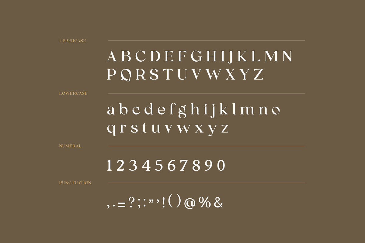 Sasha Marceline Serif Font, a Serif Font by UICreative (Photo 6 of 6)