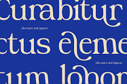 Royali Serif, a Serif Font by Khoir (Thumbnail 4 of 13)