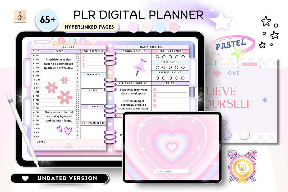 PLR Resell Canva Digital Planner