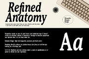 DeeplySixties Retro Serif Family, a Serif Font by Maulana Creative (Thumbnail 3 of 7)
