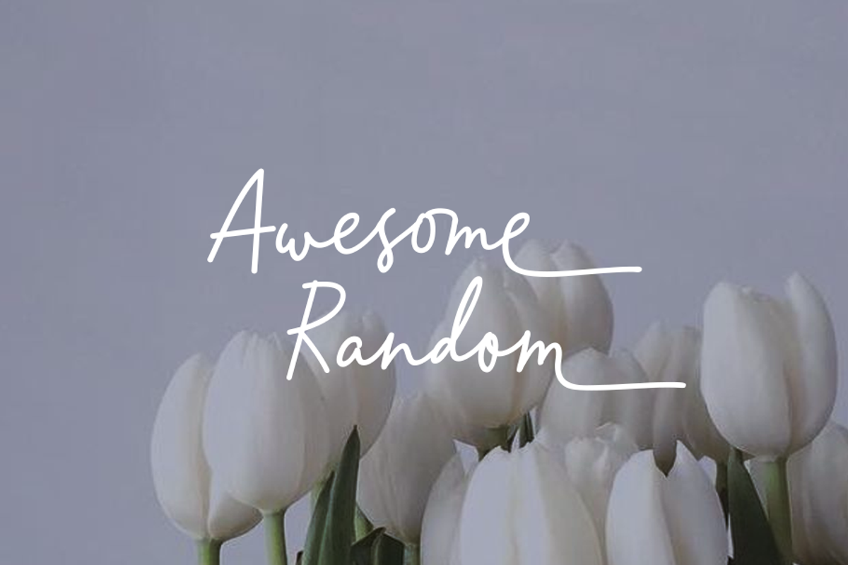 Lamelan, a Script Font by GlottaTypeface (Photo 2 of 8)
