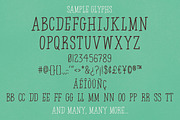 Boy Detective Font, a Serif Font by Turncoat Studio (Thumbnail 5 of 5)