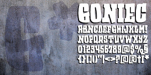 Goniec