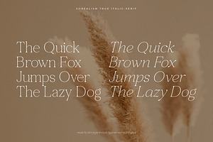 Sorealism Serif Font