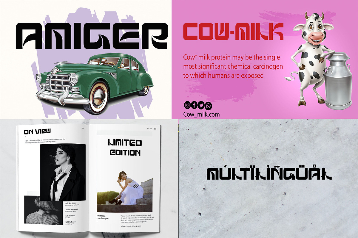 Font Collection Sans & Serif Bundles, a Slab Serif Font by Canden Meutuah (Photo 6 of 8)