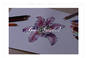 Line Floral Illustrations & Patterns, an Illustration by Riveros Illustration (Thumbnail 7 of 11)