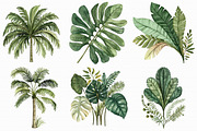 Watercolor Palm Tree Clipart, an Illustration by Libby Wishes (Thumbnail 5 of 7)