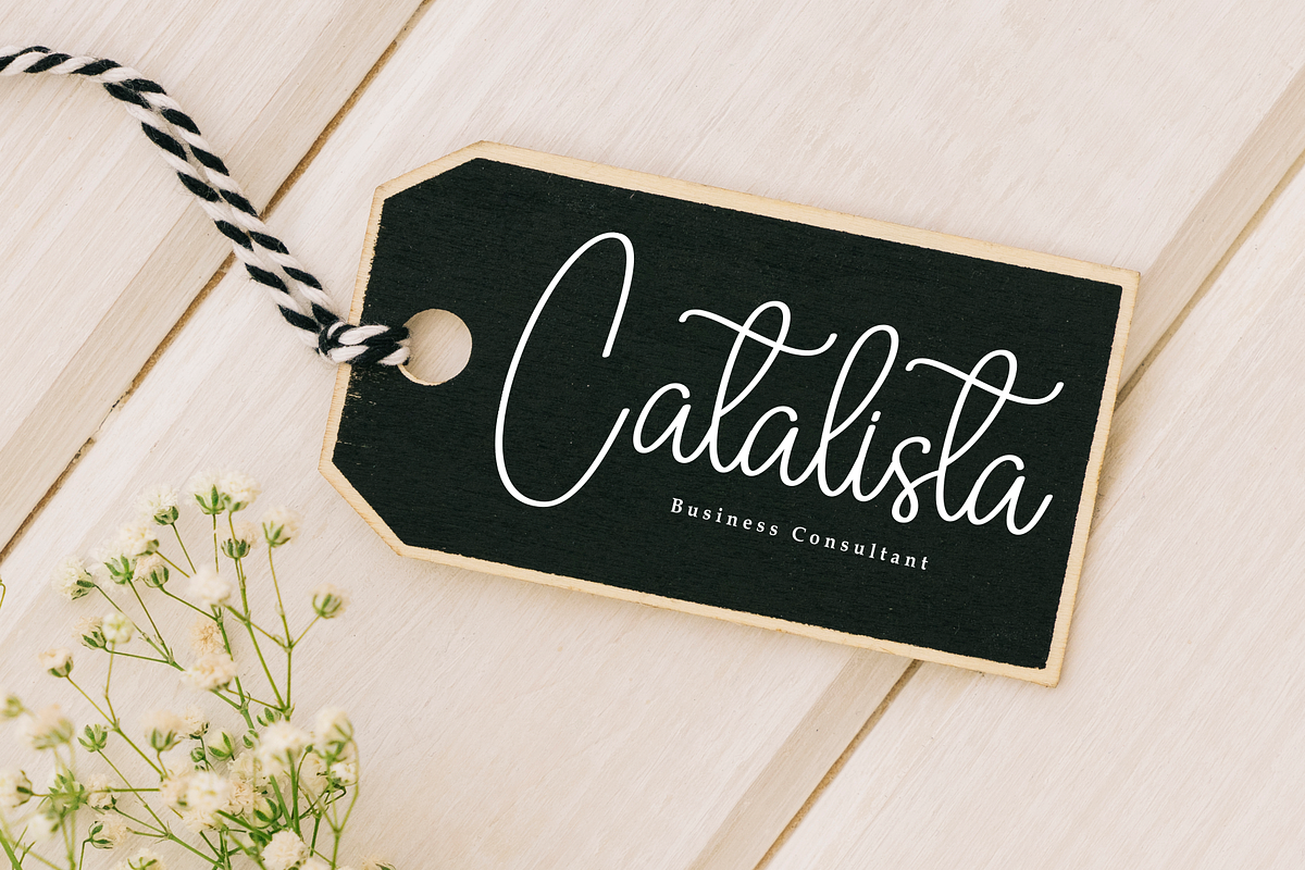 Bellina Signature | Script Font, a Handwritten Font by Scratchones (Photo 5 of 8)