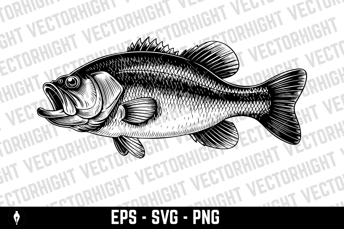Detailed sea bass (or bass fish), an Animal Illustration by Vectorhight (Photo 2 of 3)