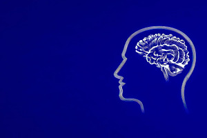 Human head silhouette with abstract brain illustration on blue b, a Health & Medical Photo by José Manuel Gelpi